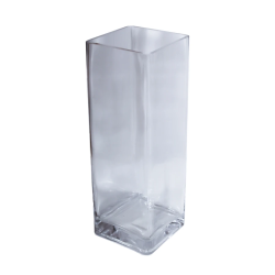 Vāze stikla 12x35cm, caurspīdīga