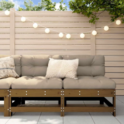 vidaXL vidējie dīvāni ar matračiem, 2 gab., medus brūns koks