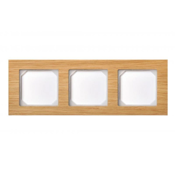 Rāmis liregus epsilon 3-viet. koks