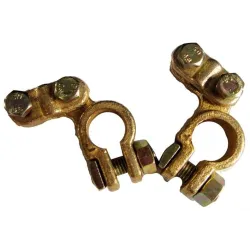 Akumuliatoriaus gnybtas, vario sp., 2 vnt.