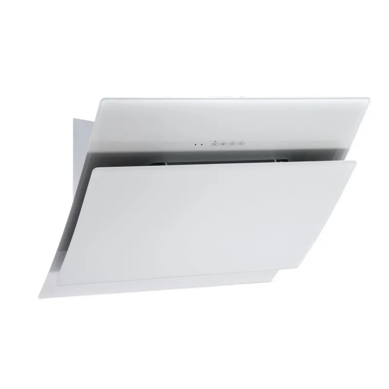 Nosūcējs tvaika standart 2010 w60