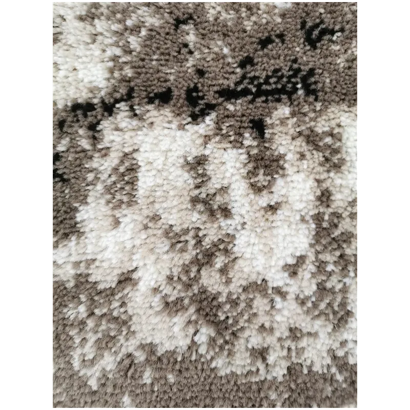 Kilimas Domoletti Ferrera 72 EC9-R, įvairių spalvų-ruda sp.-smėlio sp., 120 cm x 67 cm