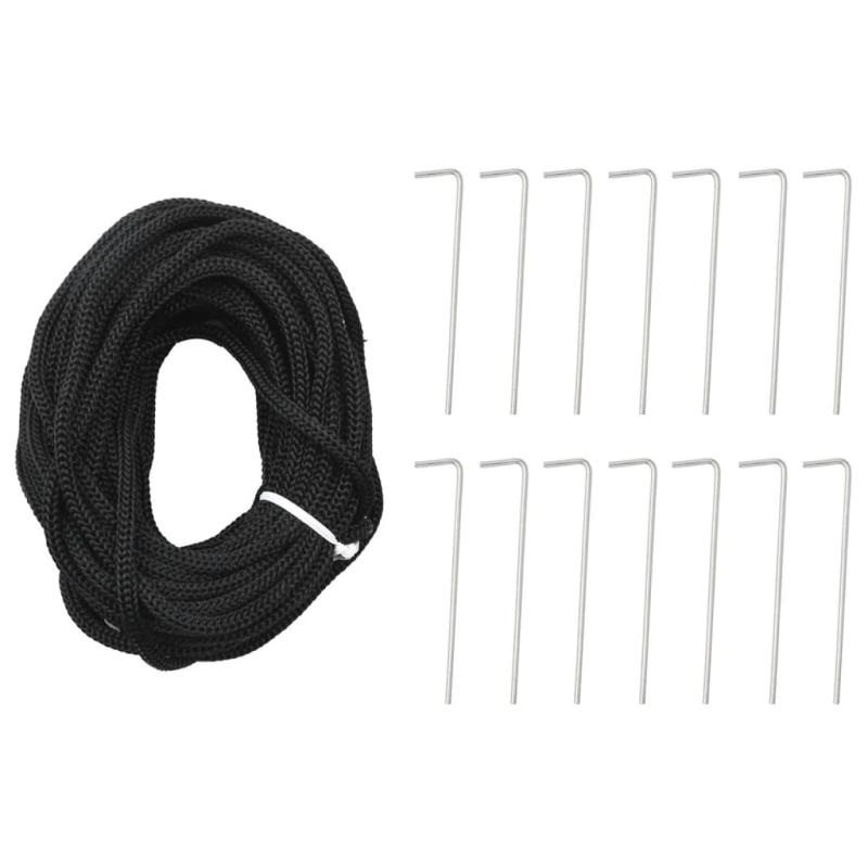 vidaXL LED Ziemassvētku eglīte uz karoga masta 3000 LED auksti balta