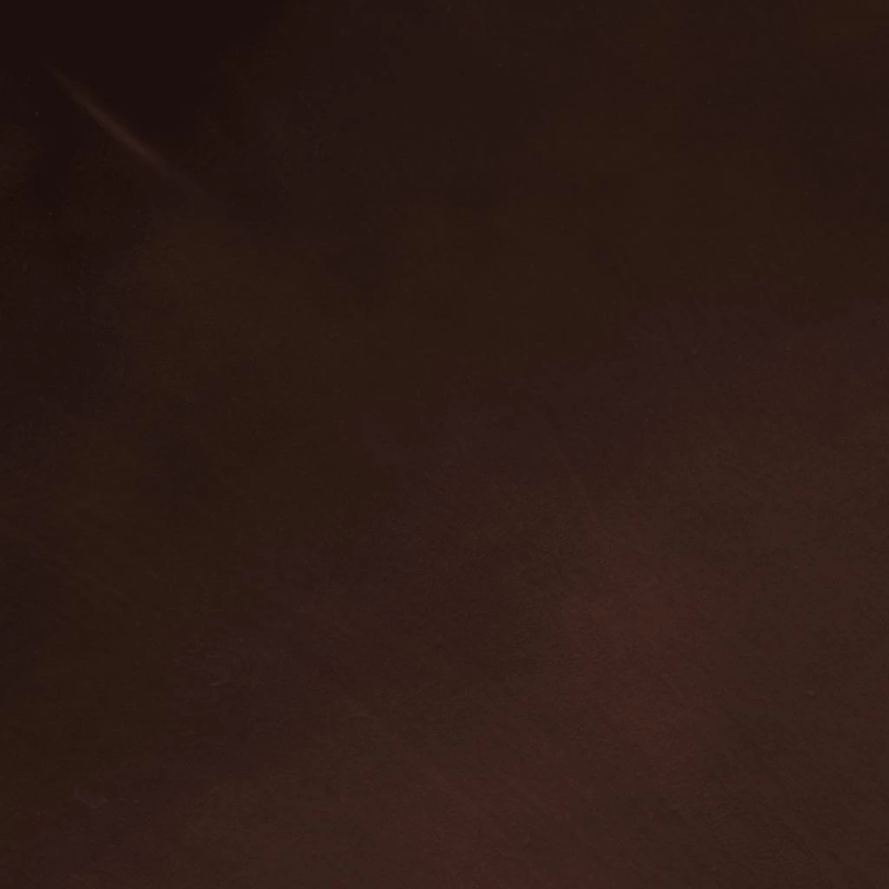 vidaXL atpūtas krēsls, brūna dabīgā āda