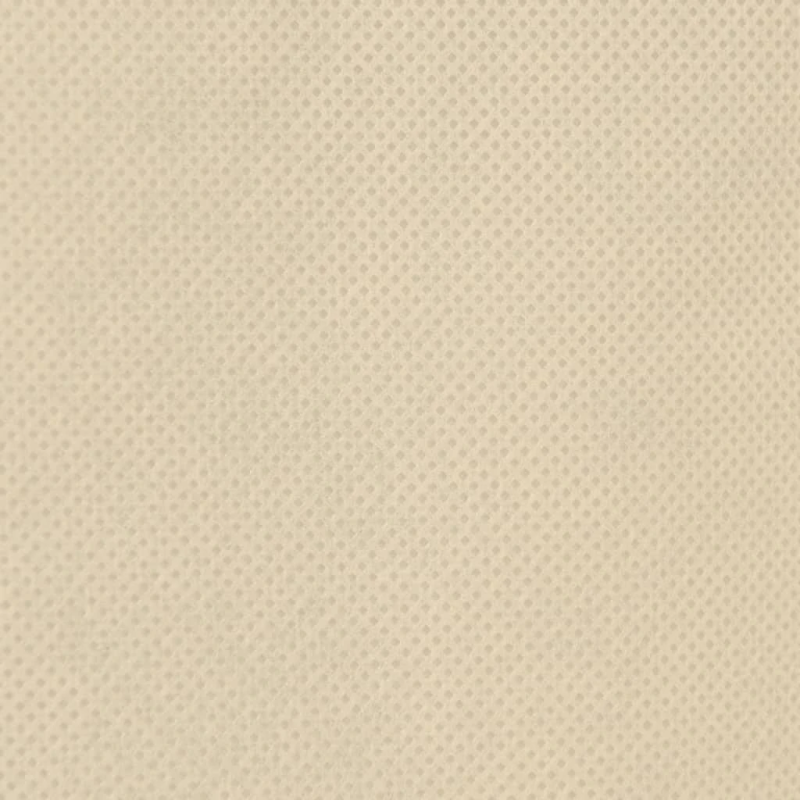 vidaXL augu pārsegi ar rāvējslēdzēju, 10 gab., 70 g-m², flīss, 1x1,55m