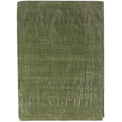 Pārsegs zaļš 2x3m 65gsm