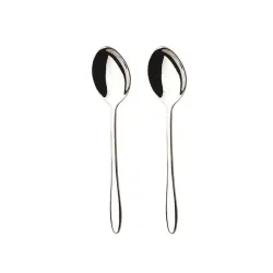 339397 elaine -2pcs table spoon