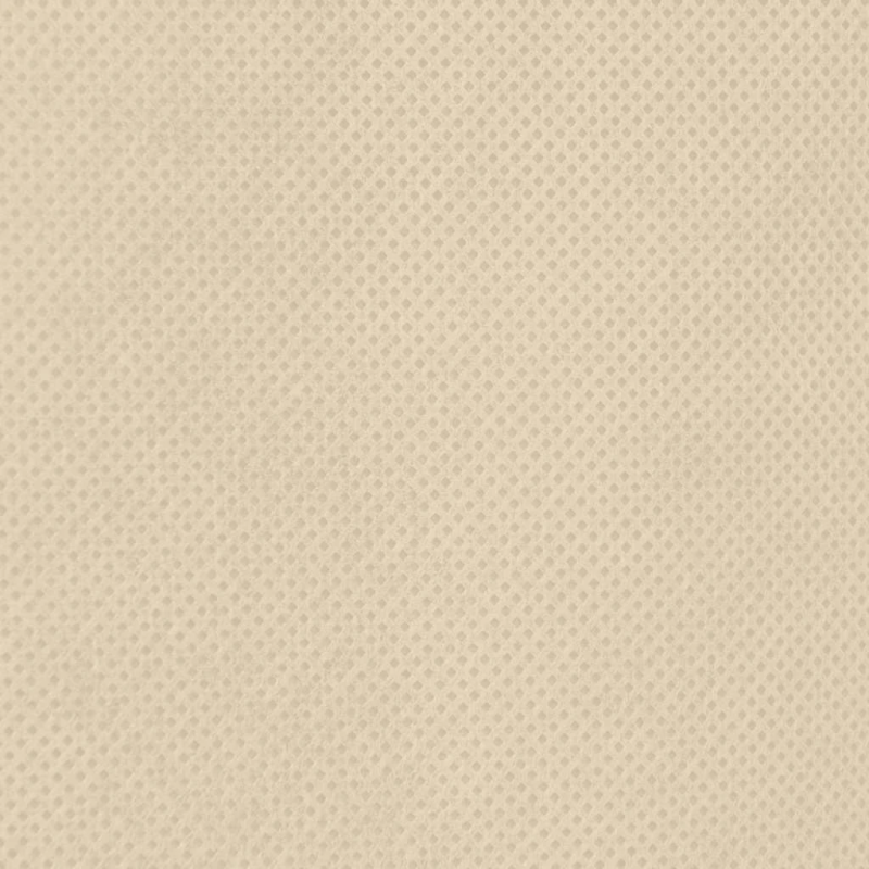 vidaXL augu pārsegi ar aukliņu, 4 gab., 70 g-m², 0,8x1 m