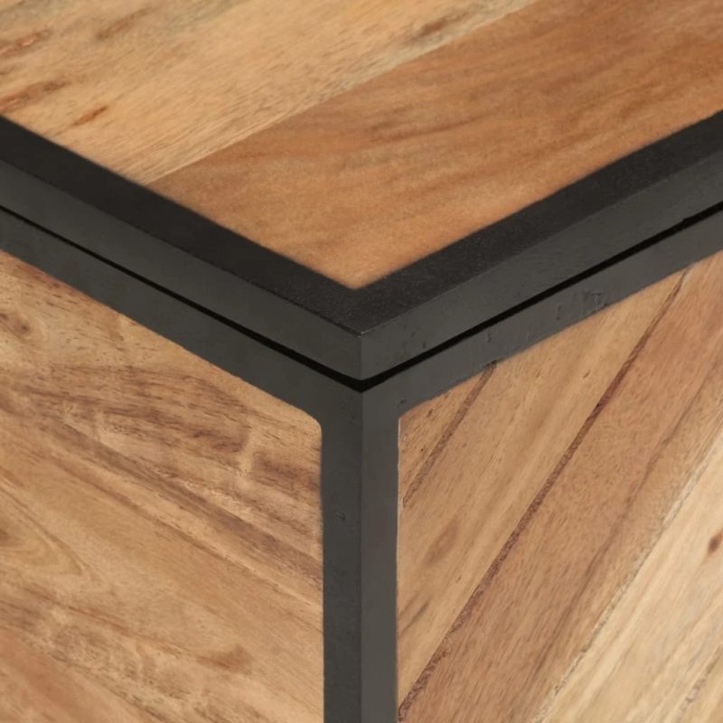 vidaXL uzglabāšanas kaste, 60x30x30 cm, akācijas masīvkoks, dzelzs