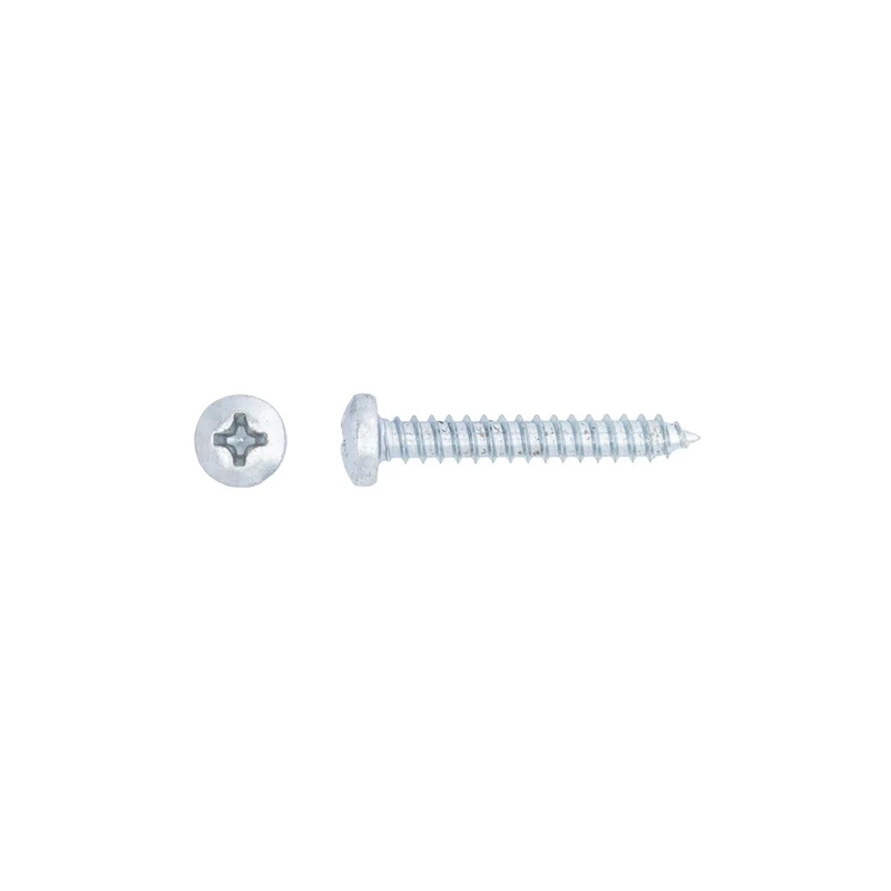 Skrūve pašgr.3.9x25 din7981c zn 25gab bl