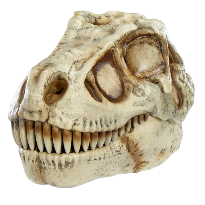 GROSSMOS Interaktīvs komplekts Dino