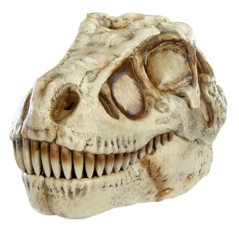 GROSSMOS Interaktyvus rinkinys Dino