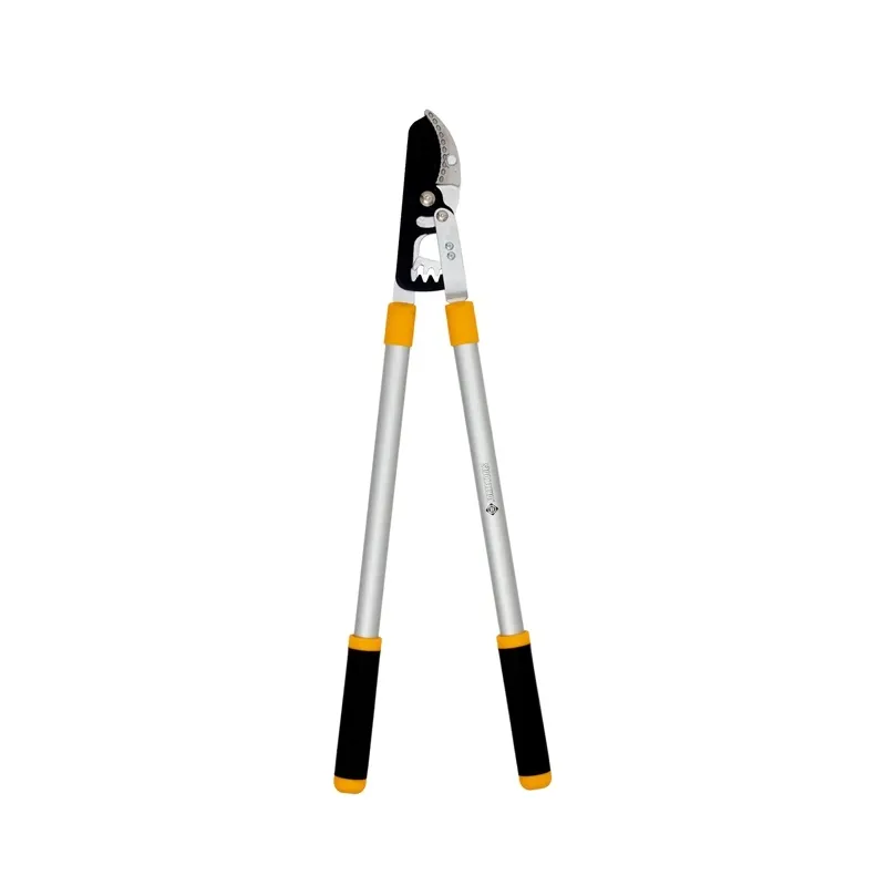 Nozaru griezēji sausie zari Forte Tools, 79 cm