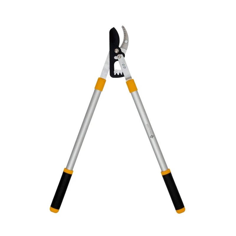 Zargriezis forte tools