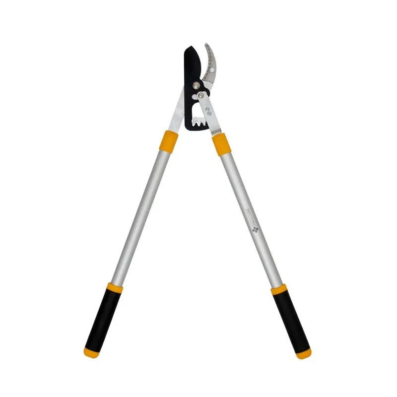 Nozaru griezēji sausie zari Forte Tools, 79 cm