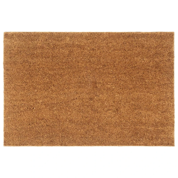 vidaXL durvju paklājs, dabīga krāsa, 60x90 cm, pūkaina kokosa šķiedra