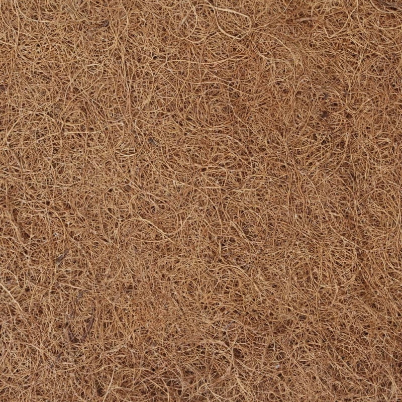 vidaXL matrača paliktnis, 70x200 cm, kokosa šķiedra