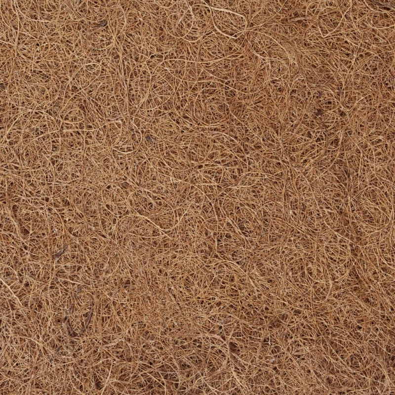 vidaXL matrača paliktnis, 90x200 cm, kokosa šķiedra