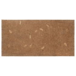 vidaXL matrača paliktnis, 100x200 cm, kokosa šķiedra