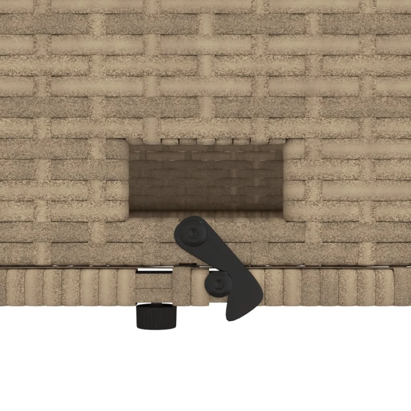 vidaXL divvietīgs dārza dīvāns ar matračiem, bēša PE rotangpalma