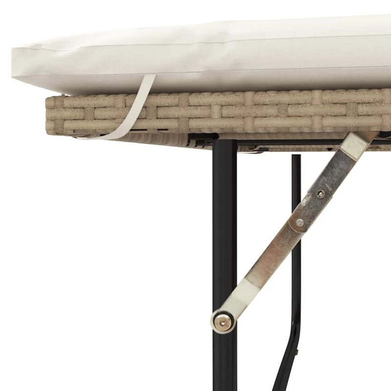 vidaXL divvietīgs dārza dīvāns ar matračiem, bēša PE rotangpalma