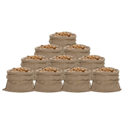 vidaXL džutas maisi, 10 gab., 100x110 cm, 100% džuta, 340 g-m²