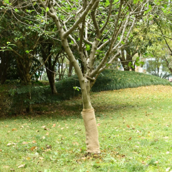 vidaXL džutas rullis 0,5x50 m, 100% džuta, 200 g-m²