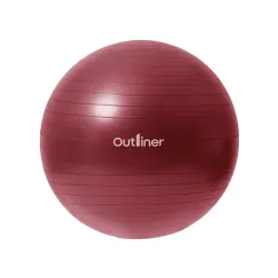 Antiburst gym ball pvc ls3222-55cm