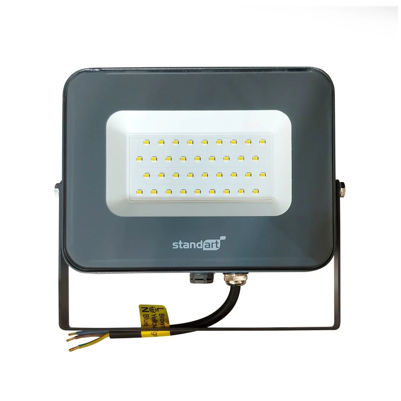 Āra projektoru LED STANDART E024EI 30W 2550lm 4000K IP65