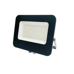 Prožektorius be judesio daviklio, tvirtinamas prie sienos Standart E024EI E024EI, 50 W, 4250 lm, 4000 °K, IP65, pilka sp.