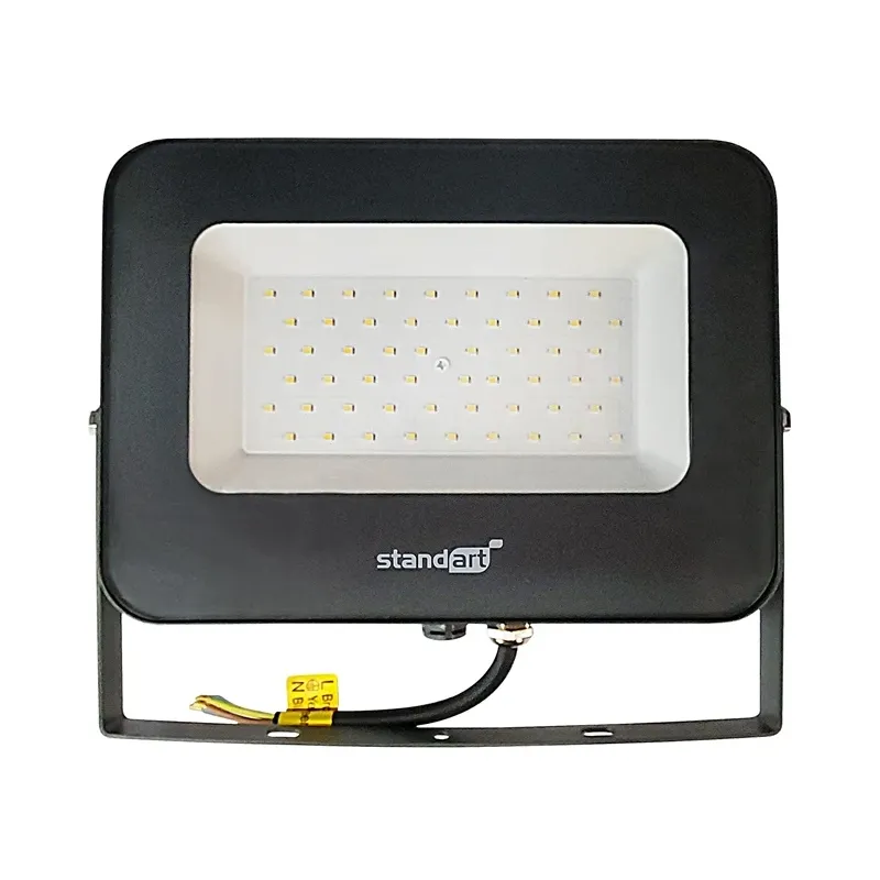 Prožektors bez kustības sensora, stiprināms pie sienas Standart E024EI E024EI, 50 W, 4250 lm, 4000 °K, IP65, pelēka krās.