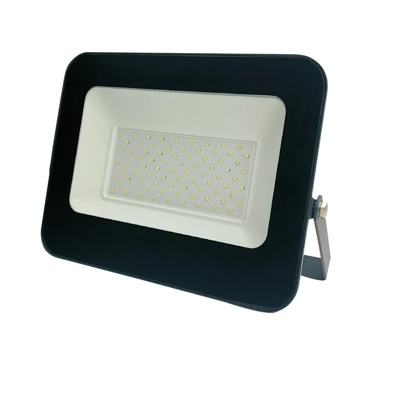 Prožektorius be judesio daviklio, tvirtinamas prie sienos Standart E024EI E024EI, 70 W, 6000 lm, 4000 °K, IP65, pilka sp.