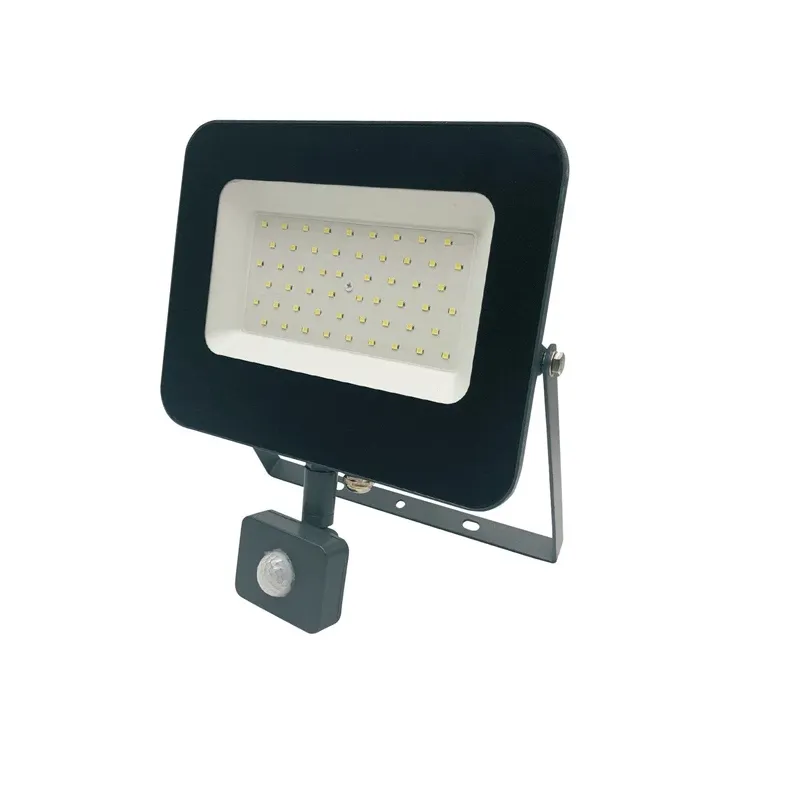 Prožektors ar kustības sensoru, stiprināms pie sienas Standart E024EI E024EIS, 50 W, 4250 lm, 4000 °K, IP65, pelēka krās.