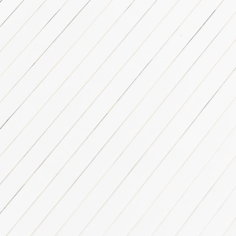 vidaXL istabas aizslietnis, balts, 165x800 cm, bambuss