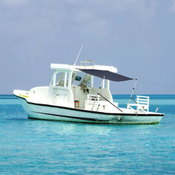 vidaXL laivas nojume, T-veida, tumši zila, 170x208x,115-183, cm