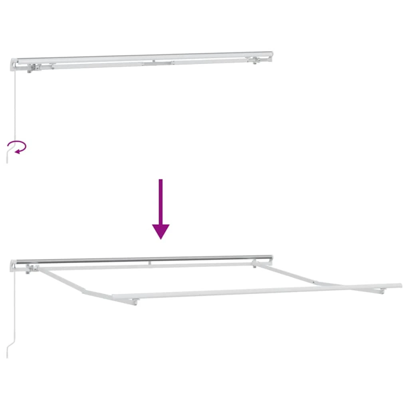 vidaXL Rankiniu būdu ištraukiama markizė, bordo spalvos, 300x250cm