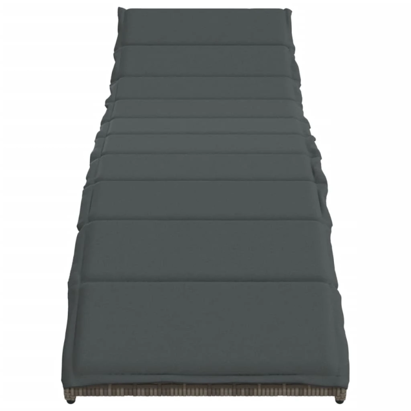 vidaXL sauļošanās zvilnis, pelēks, 55x199x50 cm, PE rotangpalma