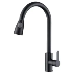 Kitchen mixer with pull out in black