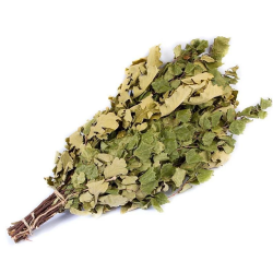 Slota pirts ozola-bērza