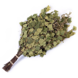 Slota pirts bērza-garšsaugu