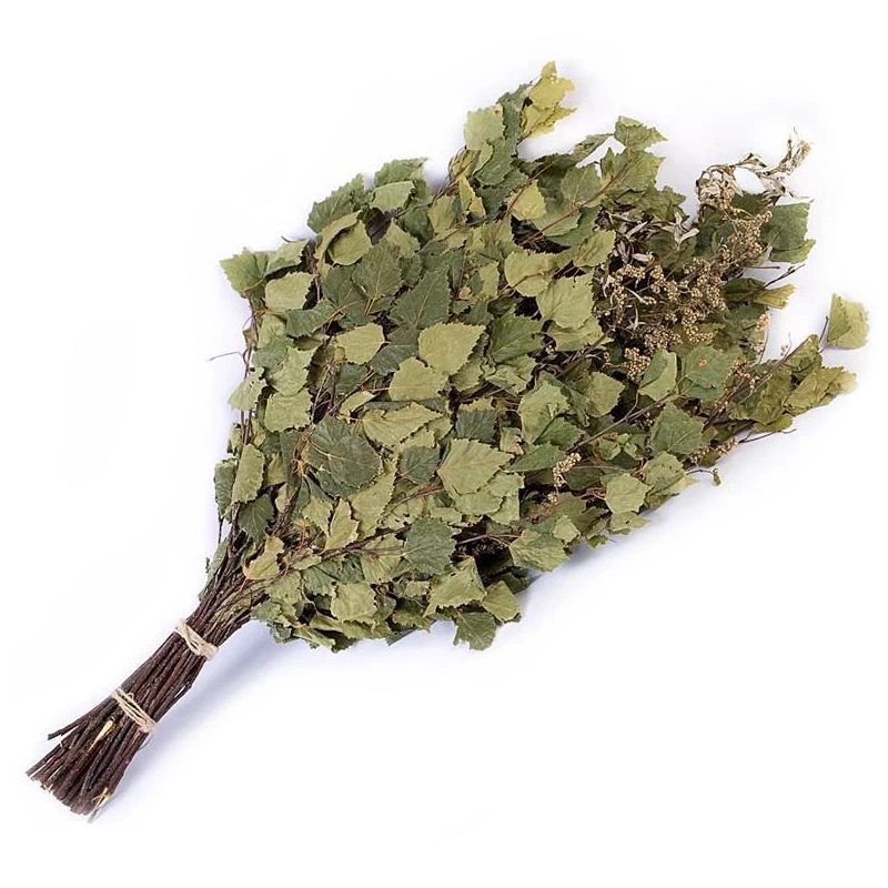 Slota pirts bērza-garšsaugu