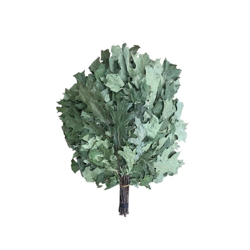 Slota pirts kanādas ozols