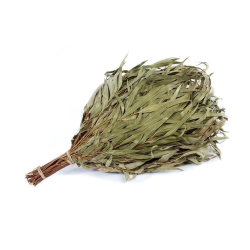 Slota pirts eikalipta-liela