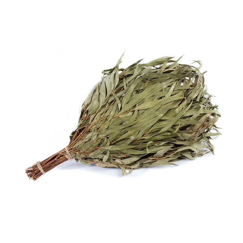 Slota pirts eikalipta-liela