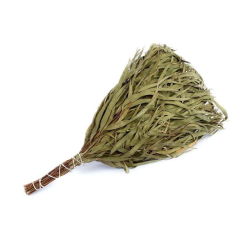 Slota pirts eikalipta