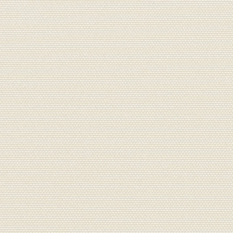 vidaXL izvelkams sānu aizslietnis, krēmkrāsa, 120x1000 cm