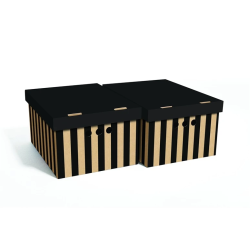 Kartona kastu ar vāku komplekts a4 2gab