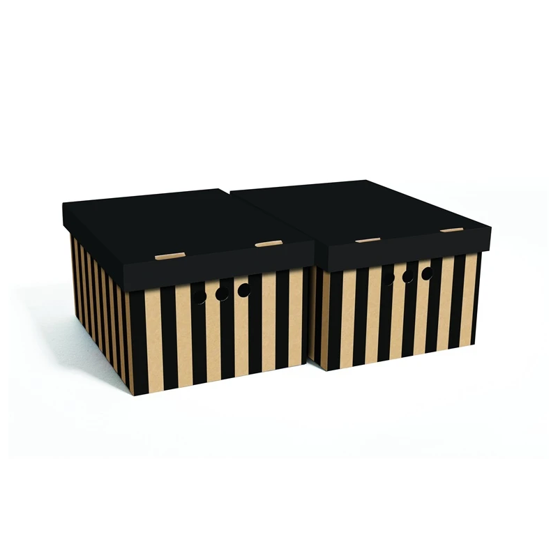 Kartona kastu ar vāku komplekts a4 2gab