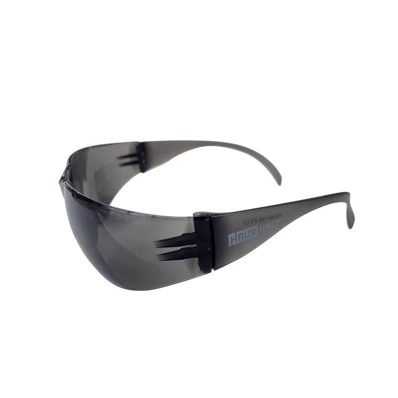 Aizsargbrilles Haushalt SF121-G tumšas