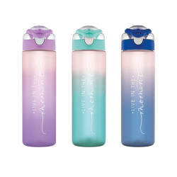 Ūdens pudeleokko 0.63l plastm.daž.krāsu